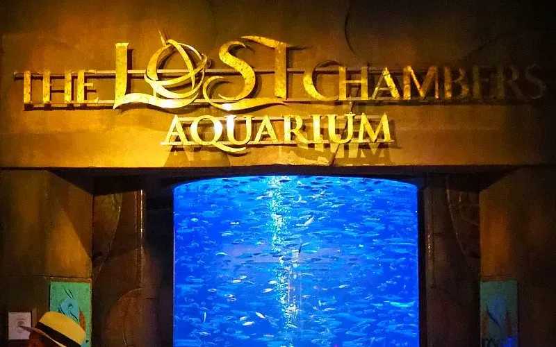 lost chambers aquarium dubai
