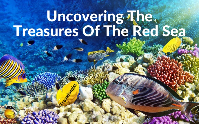Uncovering the Treasures of the Red Sea