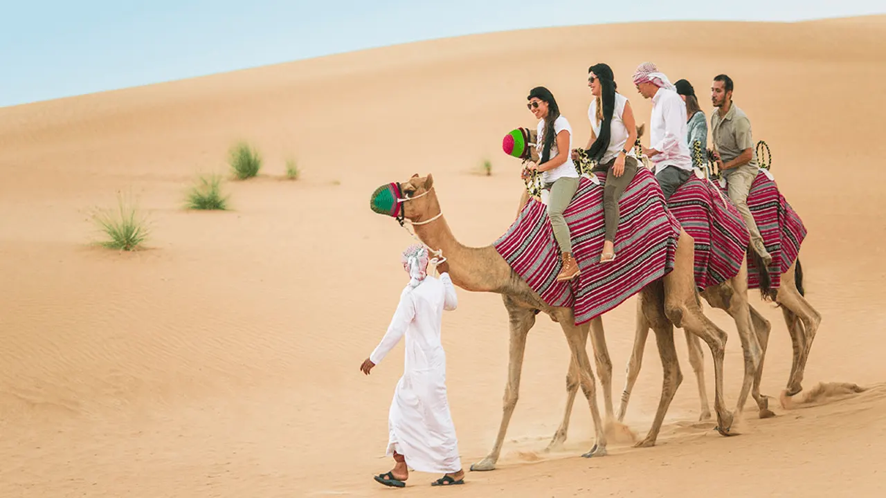 Camel Riding DUBAI