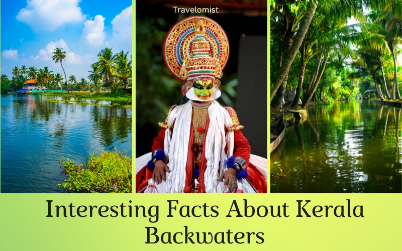 Interesting Facts About Kerala Backwaters