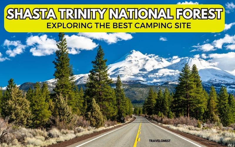 Camping in Shasta-Trinity National Forest
