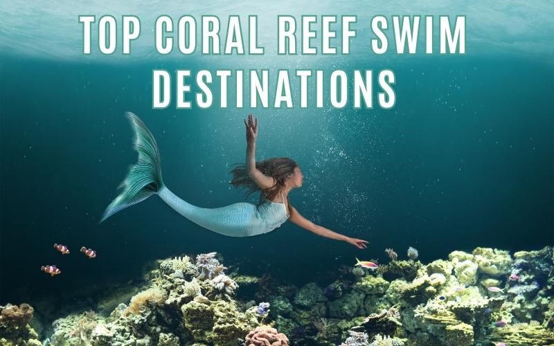 Top Coral Reef Swim Destinations
