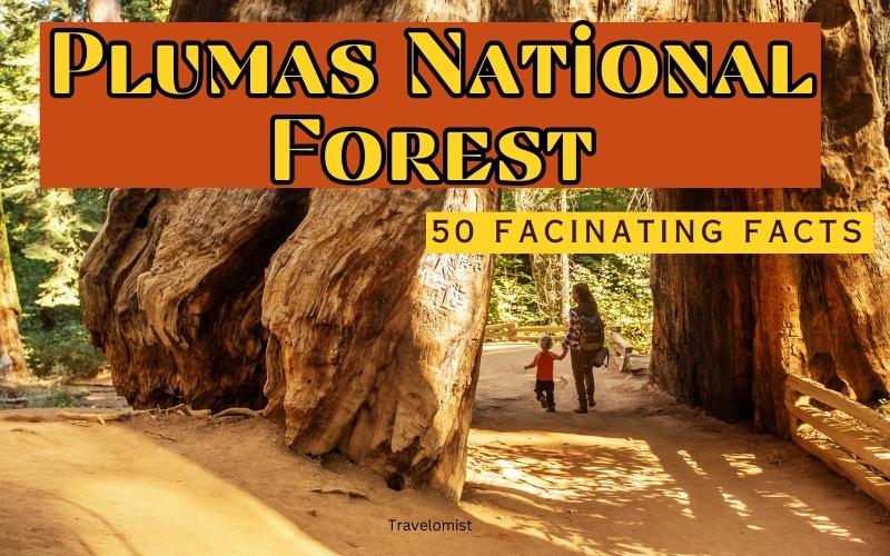 50 Facts About Plumas National Forest