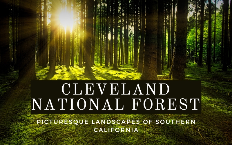 Cleveland National Forest