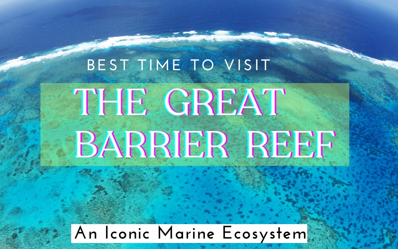 best time to visit the Great Barrier Reef